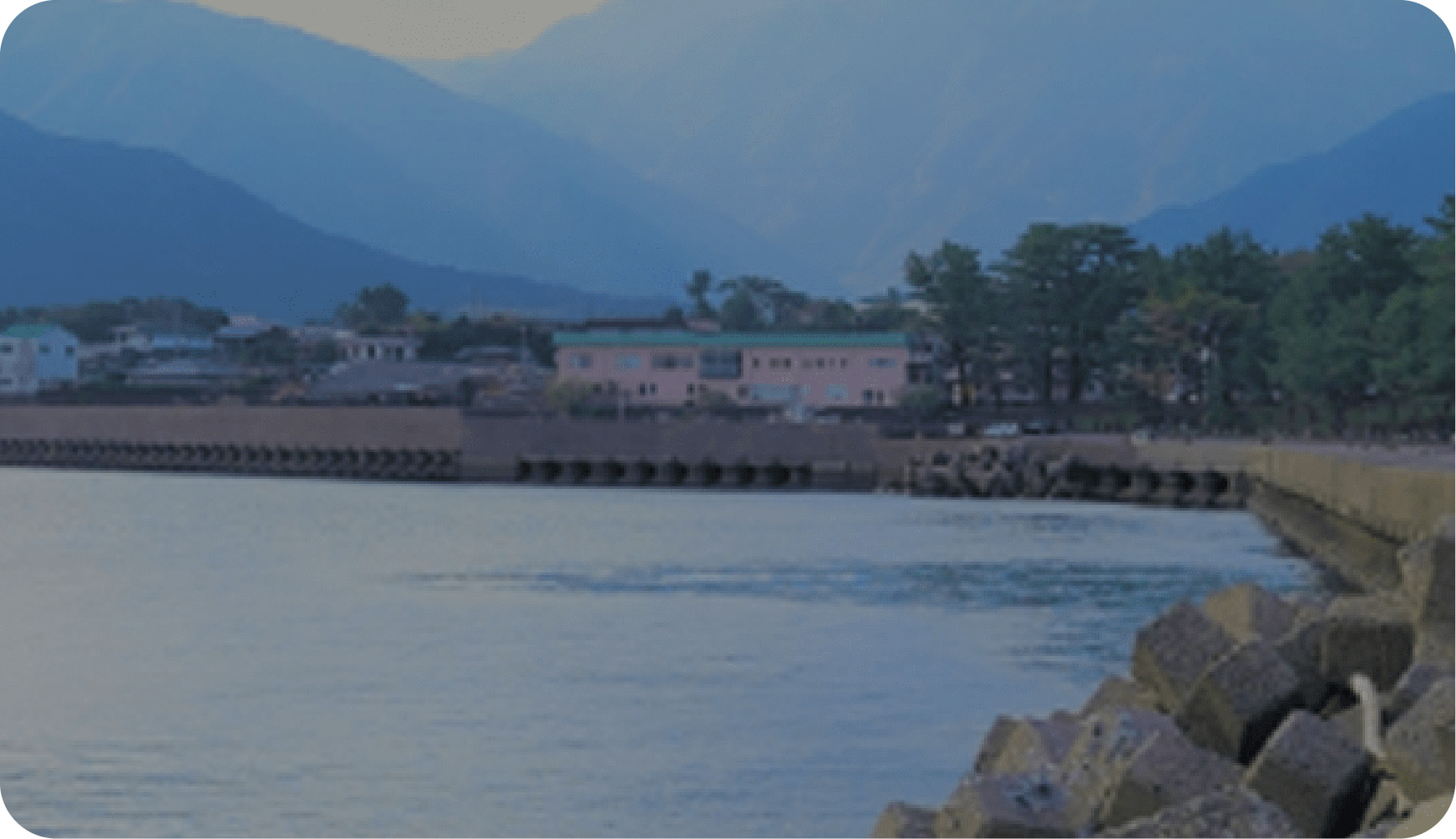 側溝丈夫を撤去してほしい